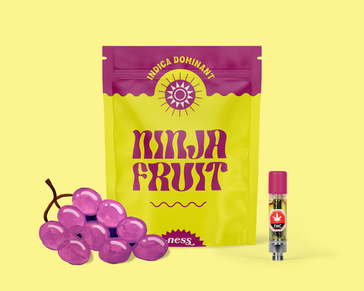 Ninja Fruit